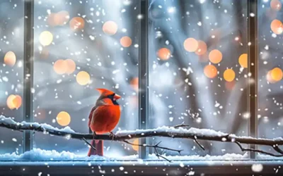 Snowbirds